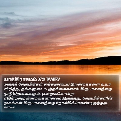 யாத்திராகமம் 37:9 TAMIRV Bible Verse Image