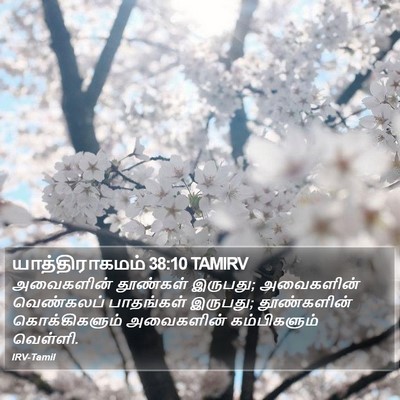 யாத்திராகமம் 38:10 TAMIRV Bible Verse Image