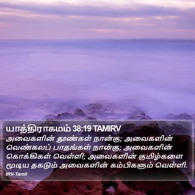 யாத்திராகமம் 38:19 TAMIRV Bible Verse Image