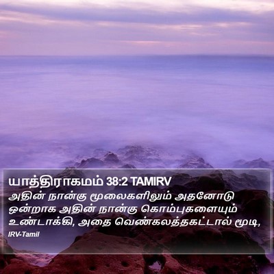யாத்திராகமம் 38:2 TAMIRV Bible Verse Image