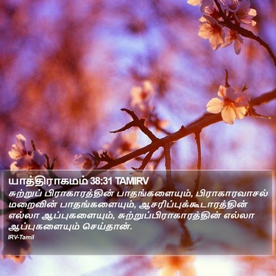 யாத்திராகமம் 38:31 TAMIRV Bible Verse Image