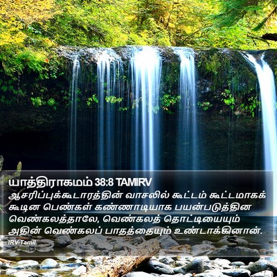 யாத்திராகமம் 38:8 TAMIRV Bible Verse Image