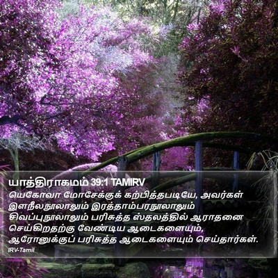 யாத்திராகமம் 39:1 TAMIRV Bible Verse Image