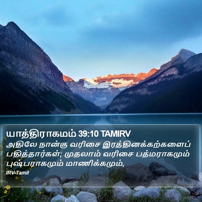 யாத்திராகமம் 39:10 TAMIRV Bible Verse Image