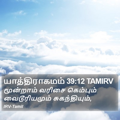 யாத்திராகமம் 39:12 TAMIRV Bible Verse Image