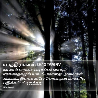 யாத்திராகமம் 39:13 TAMIRV Bible Verse Image