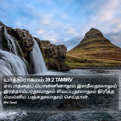 யாத்திராகமம் 39:2 TAMIRV Bible Verse Image