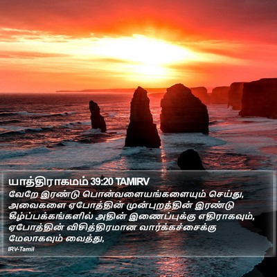 யாத்திராகமம் 39:20 TAMIRV Bible Verse Image