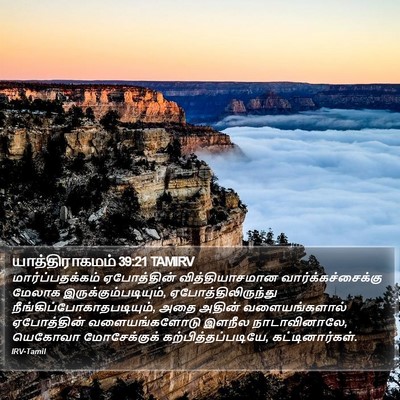 யாத்திராகமம் 39:21 TAMIRV Bible Verse Image