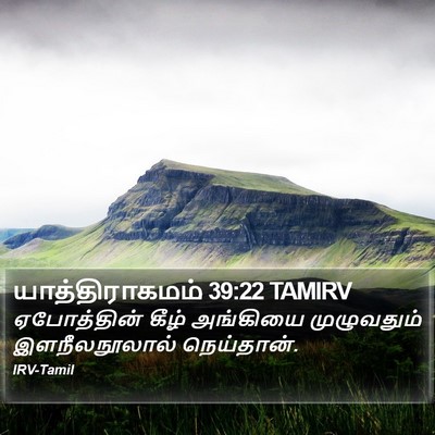 யாத்திராகமம் 39:22 TAMIRV Bible Verse Image