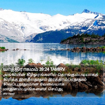 யாத்திராகமம் 39:24 TAMIRV Bible Verse Image