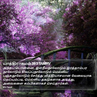 யாத்திராகமம் 39:3 TAMIRV Bible Verse Image