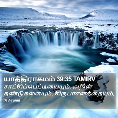 யாத்திராகமம் 39:35 TAMIRV Bible Verse Image