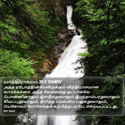 யாத்திராகமம் 39:5 TAMIRV Bible Verse Image
