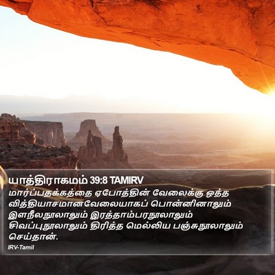 யாத்திராகமம் 39:8 TAMIRV Bible Verse Image
