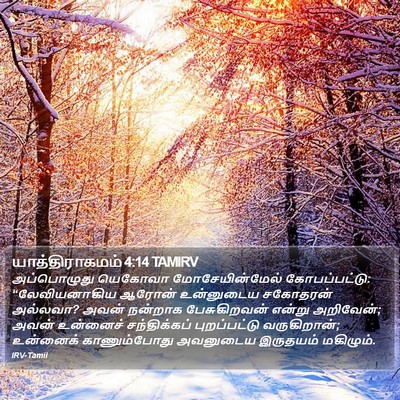 யாத்திராகமம் 4:14 TAMIRV Bible Verse Image