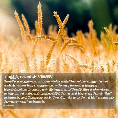யாத்திராகமம் 4:18 TAMIRV Bible Verse Image