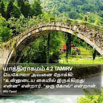 யாத்திராகமம் 4:2 TAMIRV Bible Verse Image