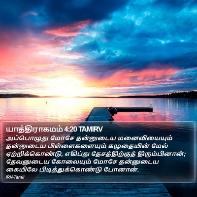 யாத்திராகமம் 4:20 TAMIRV Bible Verse Image