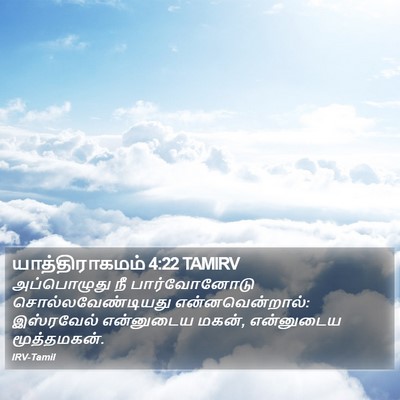யாத்திராகமம் 4:22 TAMIRV Bible Verse Image