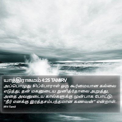 யாத்திராகமம் 4:25 TAMIRV Bible Verse Image