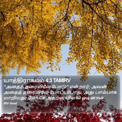 யாத்திராகமம் 4:3 TAMIRV Bible Verse Image