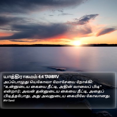 யாத்திராகமம் 4:4 TAMIRV Bible Verse Image