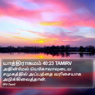 யாத்திராகமம் 40:23 TAMIRV Bible Verse Image