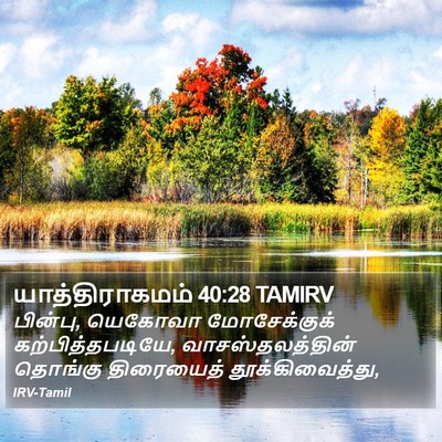 யாத்திராகமம் 40:28 TAMIRV Bible Verse Image