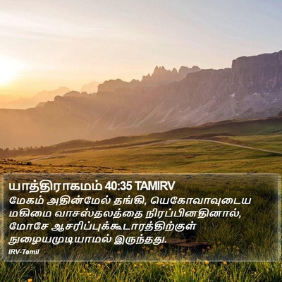 யாத்திராகமம் 40:35 TAMIRV Bible Verse Image