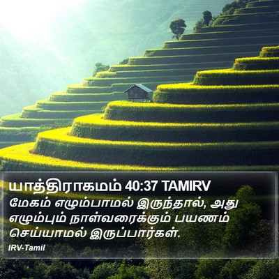 யாத்திராகமம் 40:37 TAMIRV Bible Verse Image