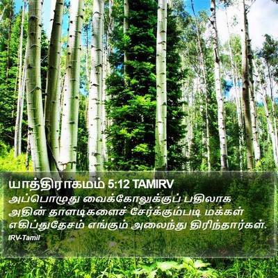 யாத்திராகமம் 5:12 TAMIRV Bible Verse Image