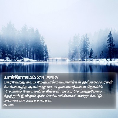 யாத்திராகமம் 5:14 TAMIRV Bible Verse Image