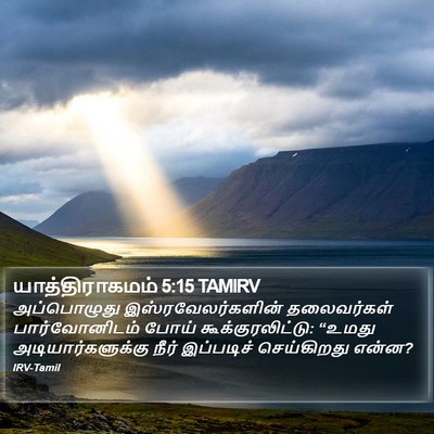 யாத்திராகமம் 5:15 TAMIRV Bible Verse Image