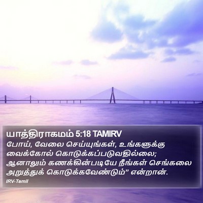 யாத்திராகமம் 5:18 TAMIRV Bible Verse Image