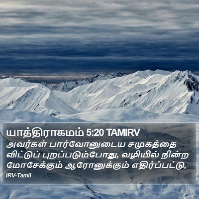 யாத்திராகமம் 5:20 TAMIRV Bible Verse Image