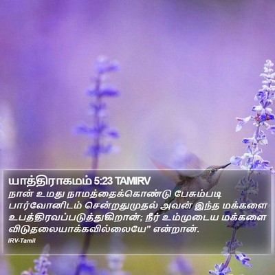 யாத்திராகமம் 5:23 TAMIRV Bible Verse Image