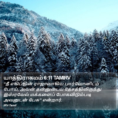 யாத்திராகமம் 6:11 TAMIRV Bible Verse Image
