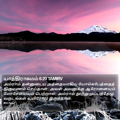 யாத்திராகமம் 6:20 TAMIRV Bible Verse Image