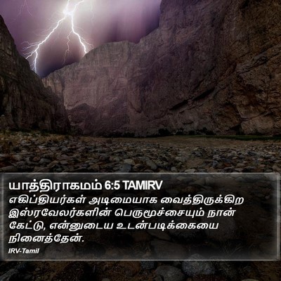 யாத்திராகமம் 6:5 TAMIRV Bible Verse Image