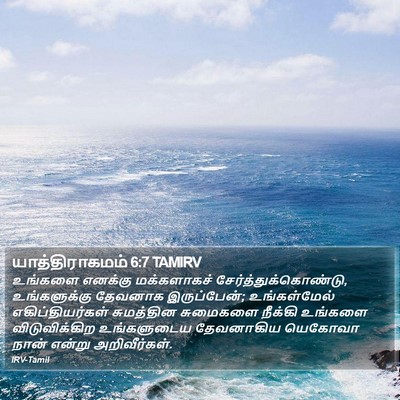 யாத்திராகமம் 6:7 TAMIRV Bible Verse Image