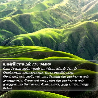 யாத்திராகமம் 7:10 TAMIRV Bible Verse Image