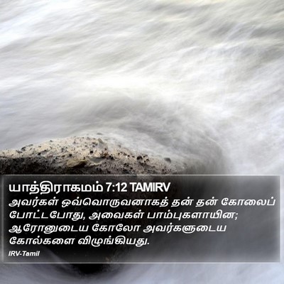 யாத்திராகமம் 7:12 TAMIRV Bible Verse Image