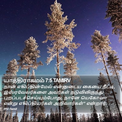 யாத்திராகமம் 7:5 TAMIRV Bible Verse Image