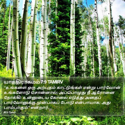 யாத்திராகமம் 7:9 TAMIRV Bible Verse Image