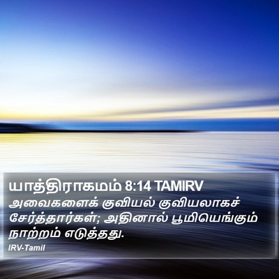 யாத்திராகமம் 8:14 TAMIRV Bible Verse Image