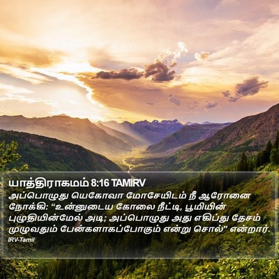 யாத்திராகமம் 8:16 TAMIRV Bible Verse Image