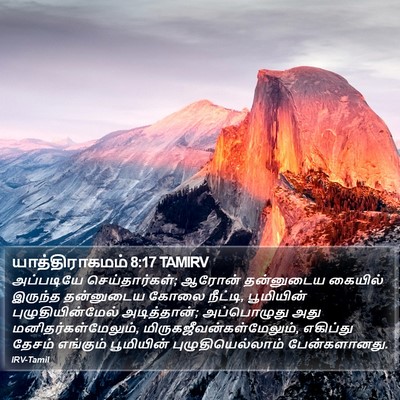 யாத்திராகமம் 8:17 TAMIRV Bible Verse Image