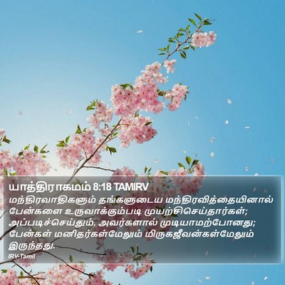யாத்திராகமம் 8:18 TAMIRV Bible Verse Image