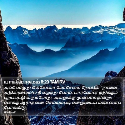 யாத்திராகமம் 8:20 TAMIRV Bible Verse Image